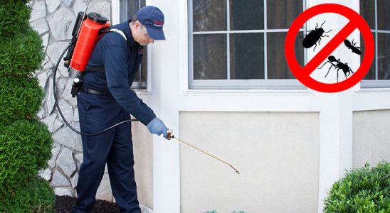 Evka 5 Dezenfeksiyon böcek ilaçlama ve haşere kontrolü — ilaclama-tr.com